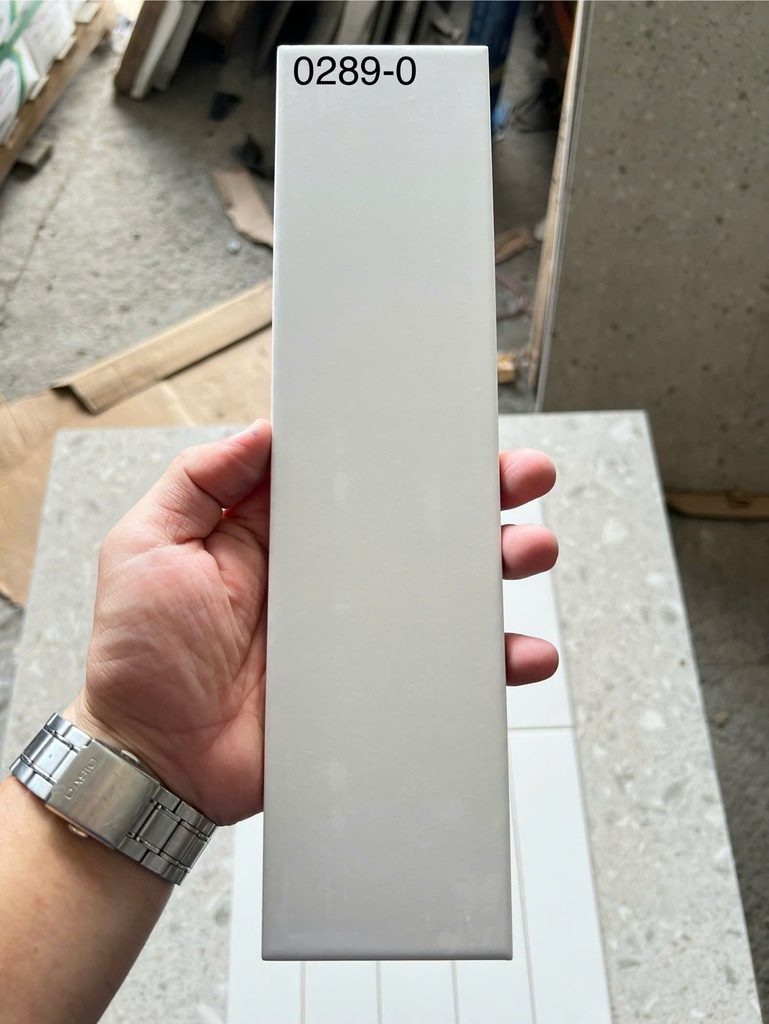 Gạch thẻ xám lạnh mờ phẳng kt 75x300 0289-0