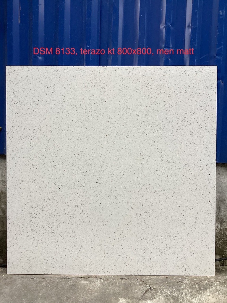 Gạch terrazzo size 800x800 mã DSM8133