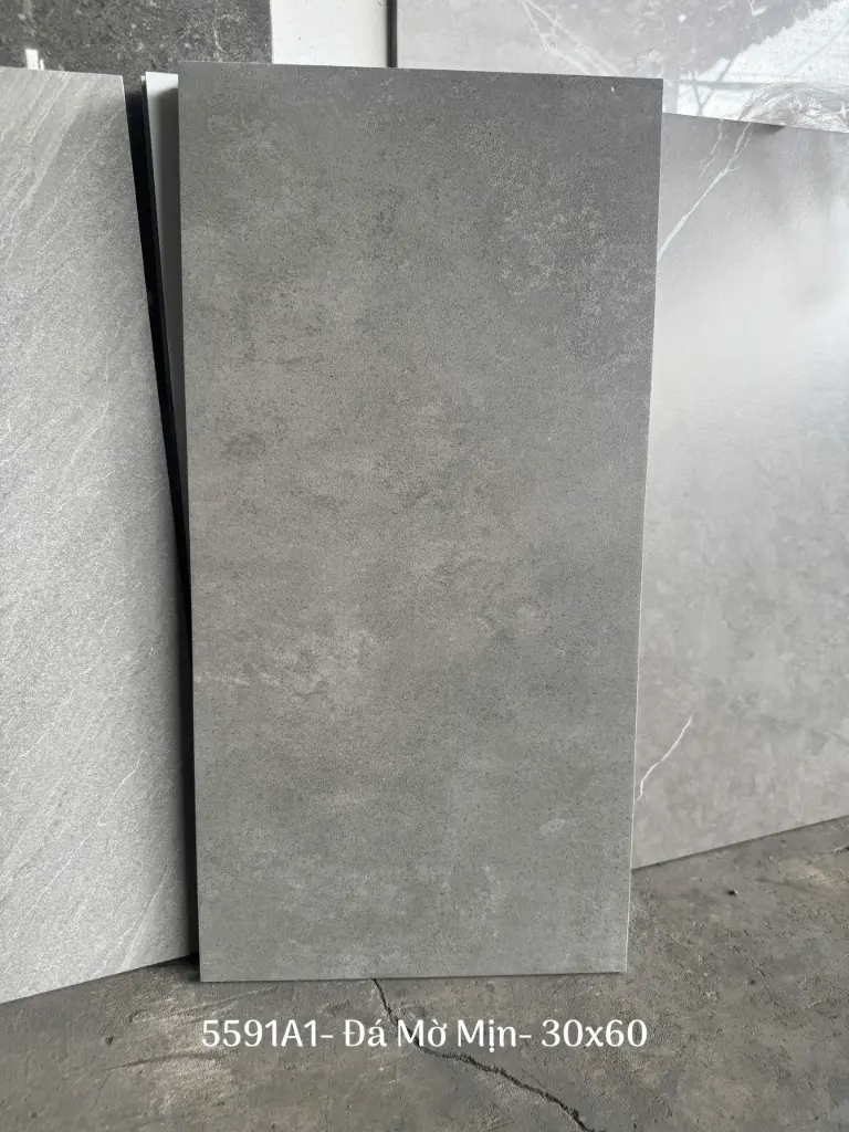 [DSC-591A1] Gạch 300x600mm xương đá matt mịn mã 5591A1