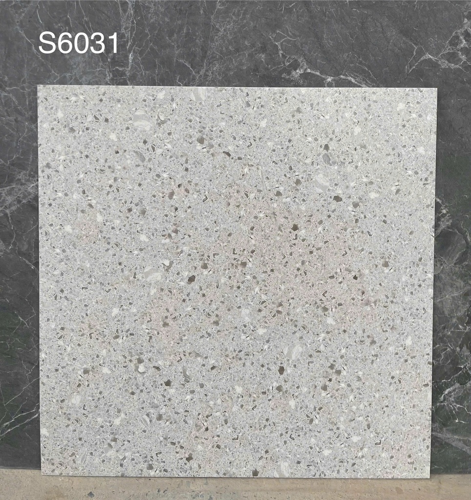 Gạch Terrazzo KT 600x600 mã S6031