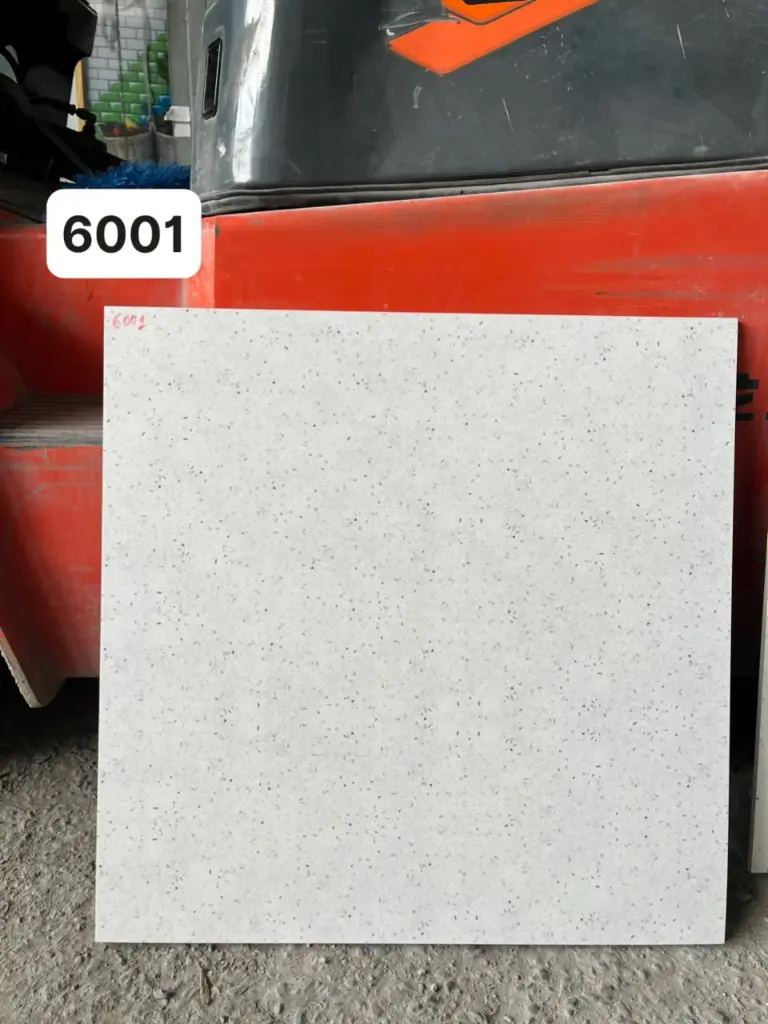 [DSC-6001(6924)] Gạch tezaro KT 600x600mm mã 6001