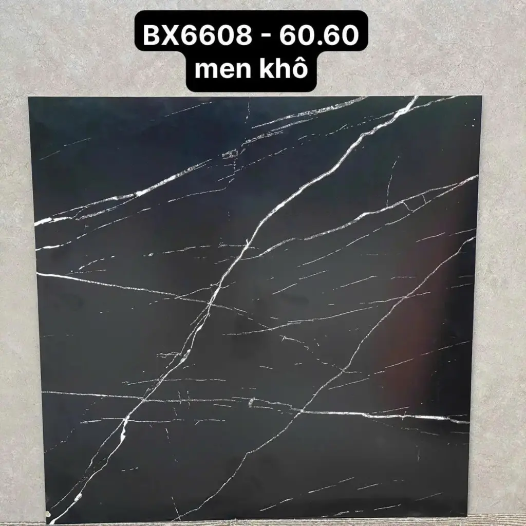 [DSC-5376BX6608] Gạch đen chớp men khô, KT 600x600mm, mã BX6608