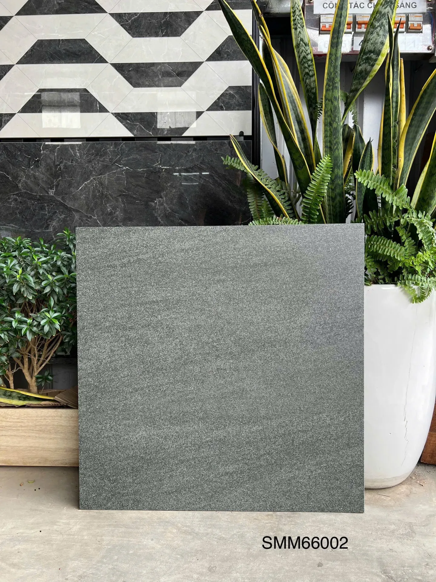 [DSC-SMM66002] [SMM66002] Gạch ốp lát cao cấp men matt 600x600mm - SMM66002