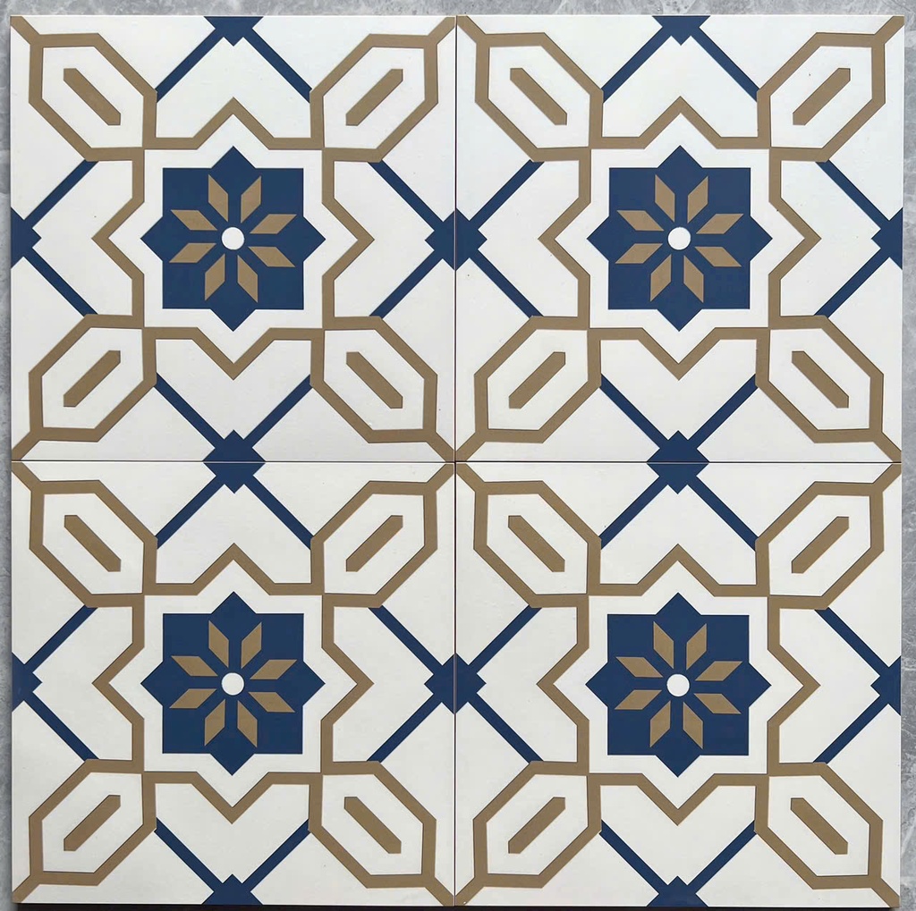 [DSC-2918] Gạch bông TQ, KT 200x200 mm, Xương Porcelain mặt mờ mã DS2918