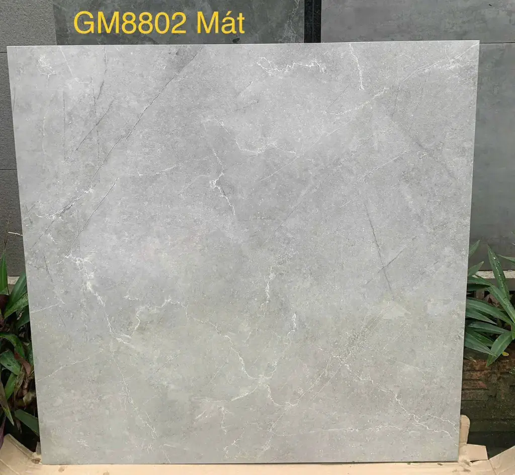 [DSC-GM8802] Gạch ốp lát mã GM8802