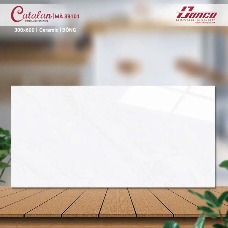 [DSC-39101] Gạch ốp lát men bóng KT 30x60 mã 39101