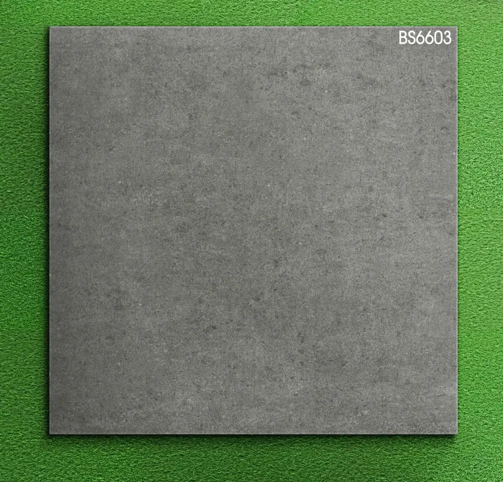 [DSC-BS6603] Gạch ốp lát KT 120x120 mã BS6603