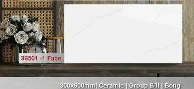 [DSC-36501] Gạch ốp lát trắng vân mấy bóng phẳng, KT 300x600mm, mã 36501 (10v/thùng/1.8m2)