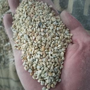 [DSC-2607-95501] Đá cuội vàng tự nhiên đánh bóng vân Cobble cho thiết kế cảnh quan - Bộ sưu tập Pebble Stone tùy chỉnh kích thước, phong cách hiện đại
