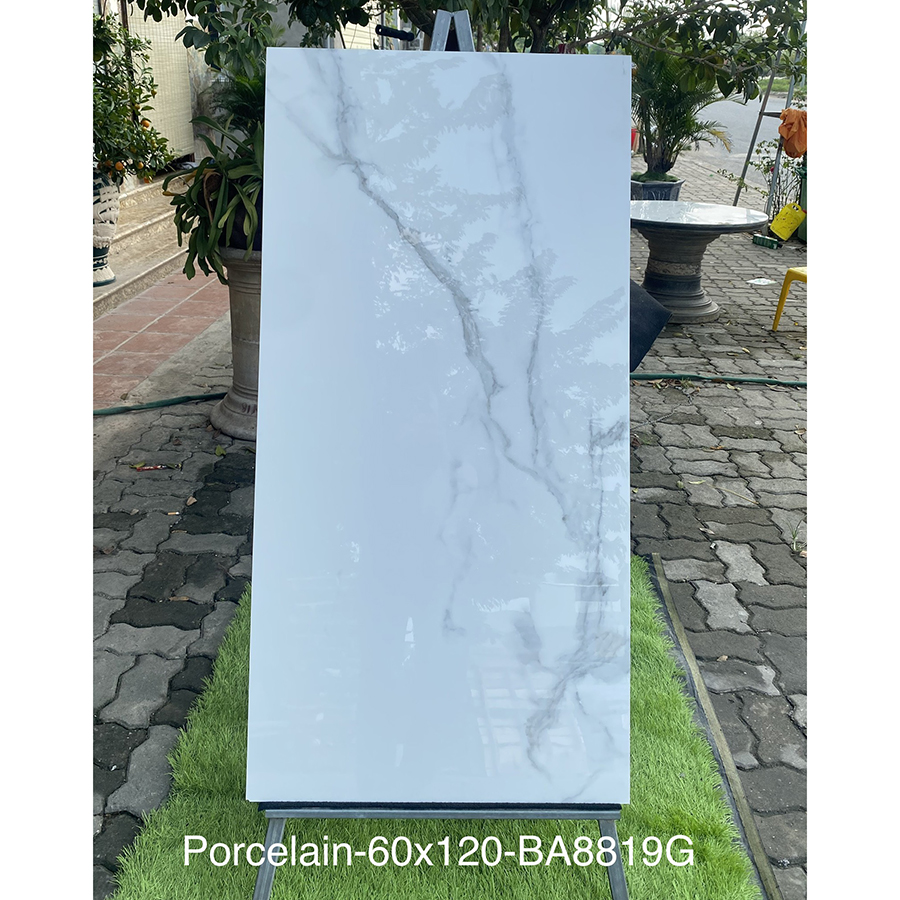 Gạch Ấn Độ 600x1200mm BA8819G