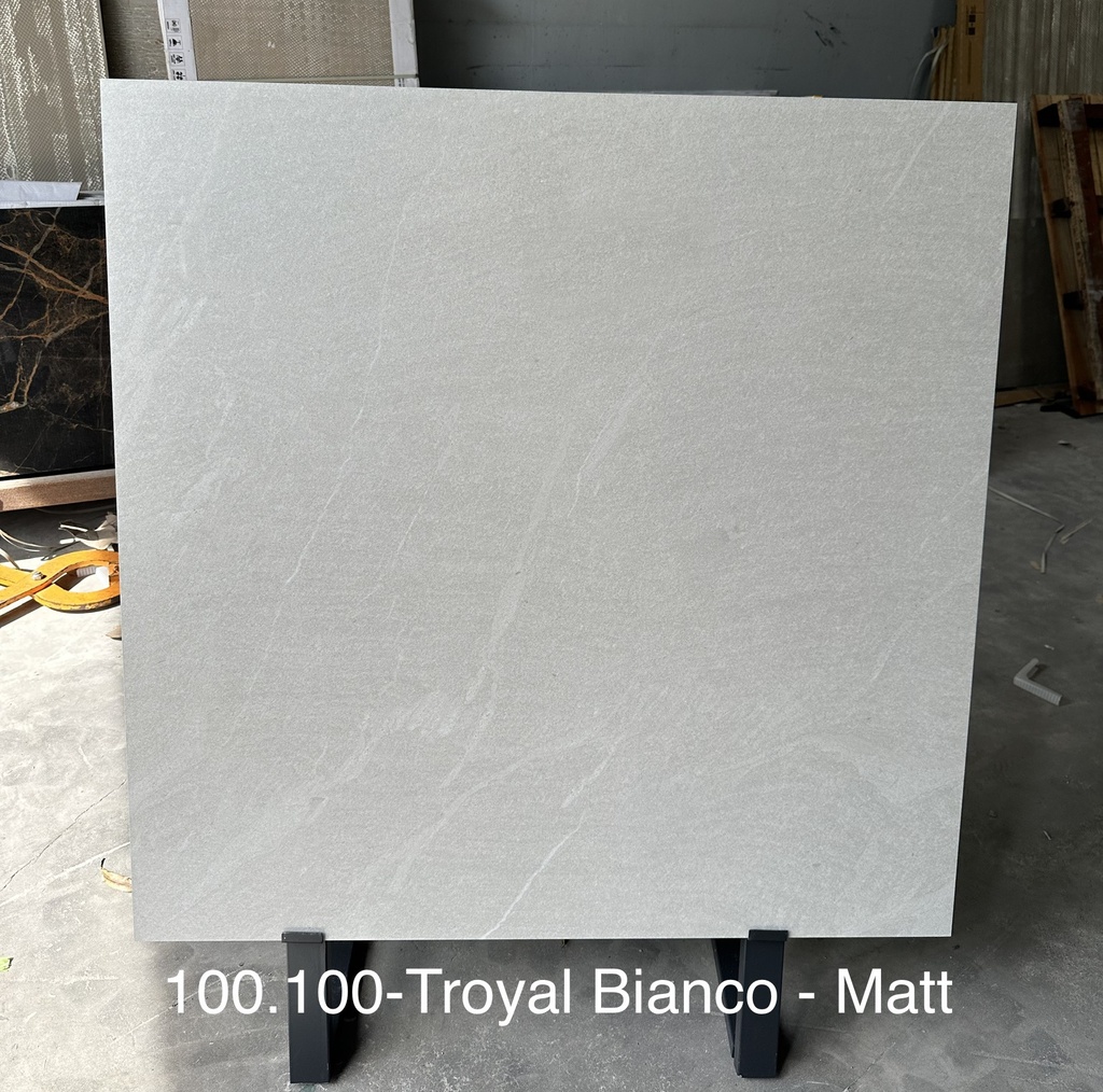 Gạch Ấn Độ 1200x1200mm Troyal Bianco - Matt