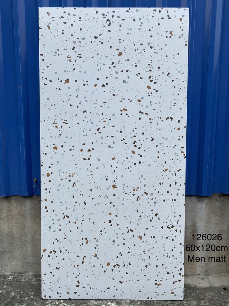 Gạch khổ lớn Terrazzo 600x1200mm 126026