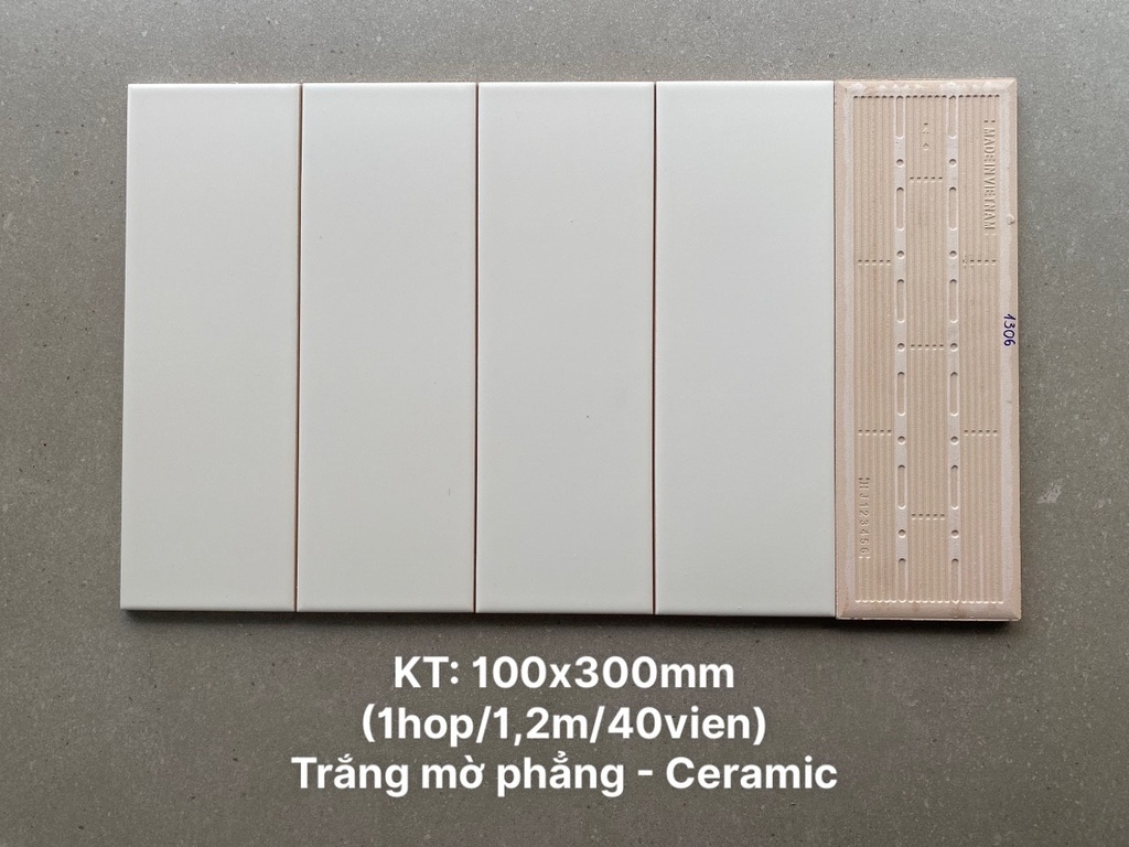 Gạch thẻ trắng mờ phẳng KT 100x300mm STA1306