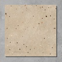 Gạch Terrazzo 600x600mm mã 5502