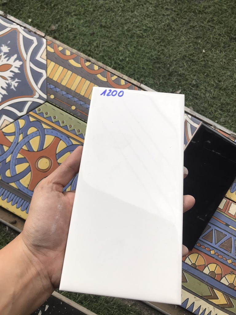 Gạch thẻ Việt Nam KT 100x200mm trắng bóng phẳng loại 1 mã 0199-2