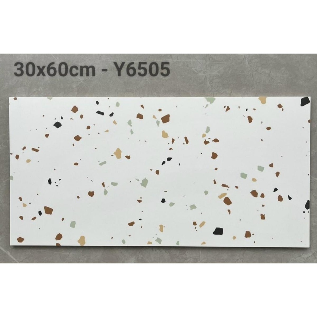 Gạch Terrazzo KT 300x600mm Y6505