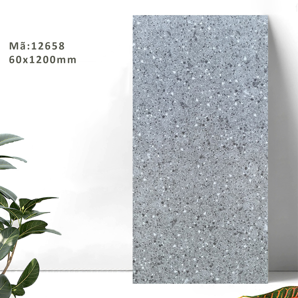 Gạch khổ lớn Terrazzo 600x1200mm 12658