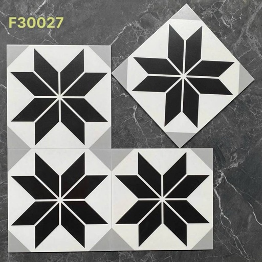 [DSF30027] Gạch bông 300x300 mã DSF30027