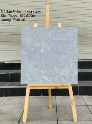 Gạch Terrazzo DSH kích thước 100x100 T181