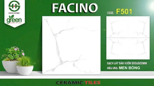 Gạch lát sân vườn KT 500x500mm mã F501
