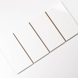 [(STA10250/CIC0410P)] Gạch thẻ trang trí trắng bóng phẳng 100x250mm STA10250