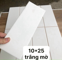 [STA10256] Gạch thẻ trắng mờ kt 100x250mm STA10256