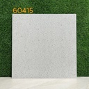 Gạch Terrazzo KT 600x600mm 6929