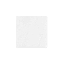 [N3300Y] Gạch lát sàn màu trắng mờ 300x300mm N3300Y