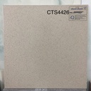 Gạch Granite 400x400mm CTS4426