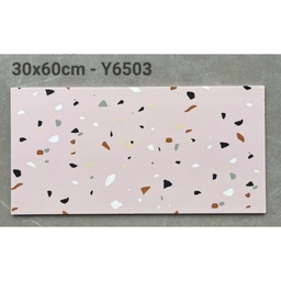 [Y6503] Gạch Terrazzo 300x600mm Y6503
