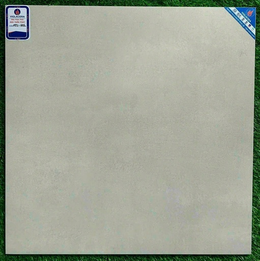 [ATP1_601] Gạch 60x60cm đá mờ ATP1_601